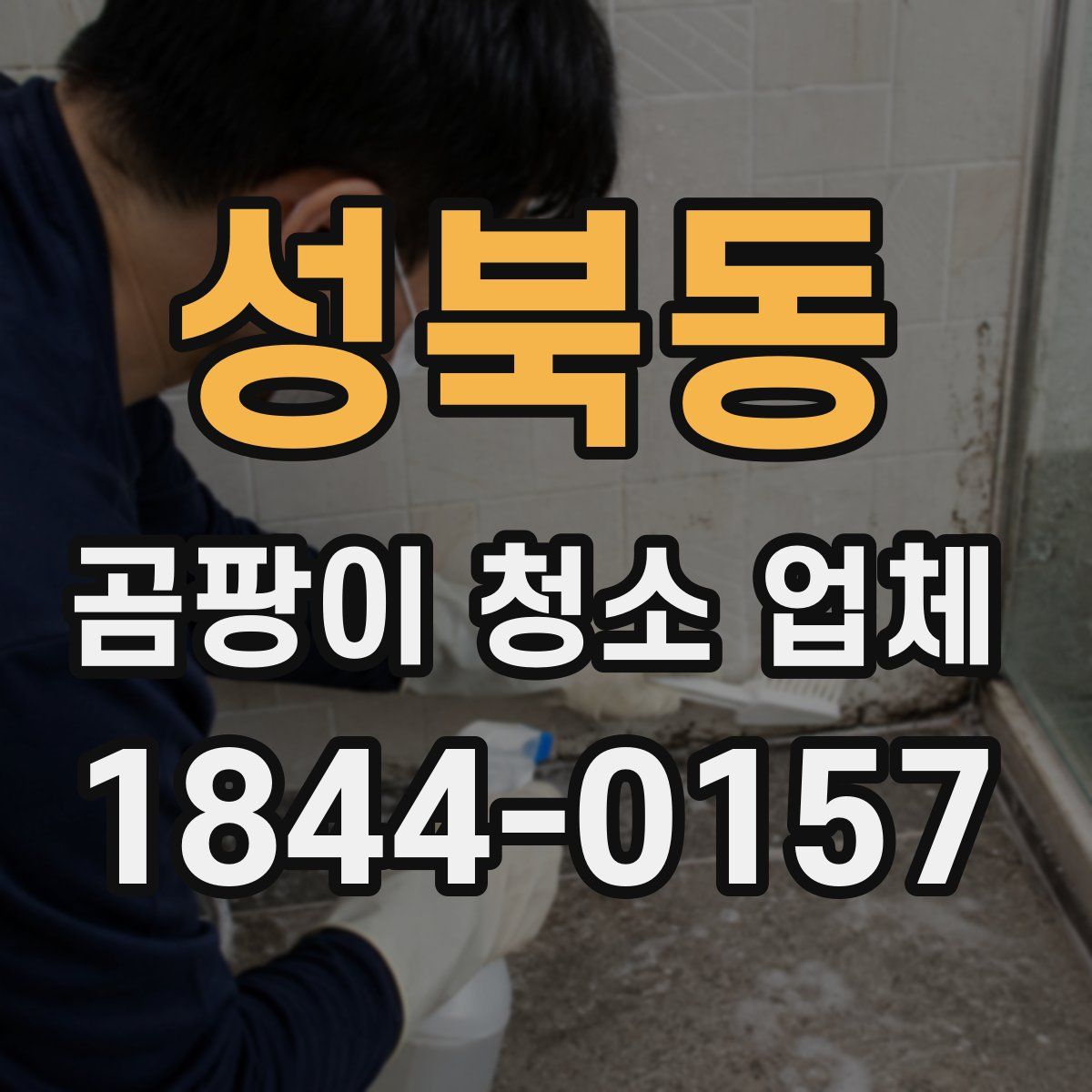 성북동 곰팡이 청소 업체