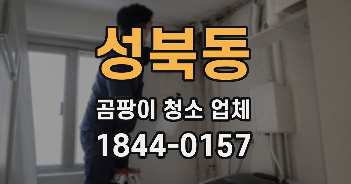 성북동 곰팡이 청소 업체