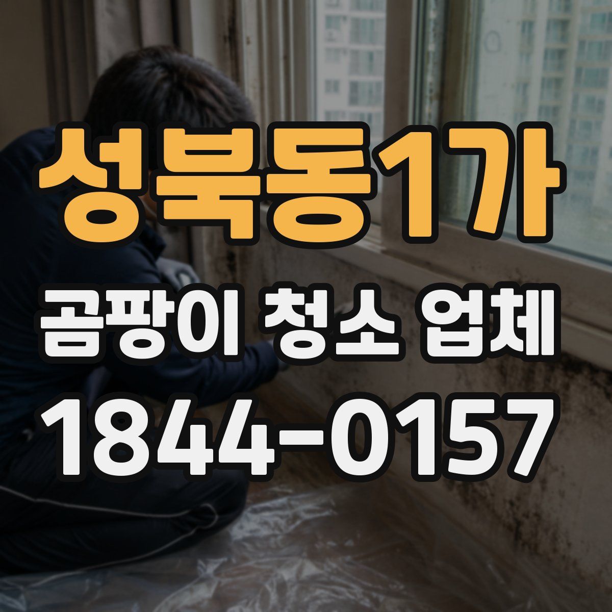 성북동1가 곰팡이 청소 업체