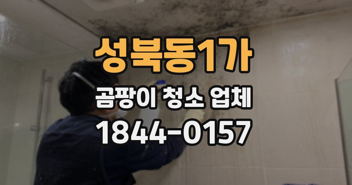 성북동1가 곰팡이 청소 업체