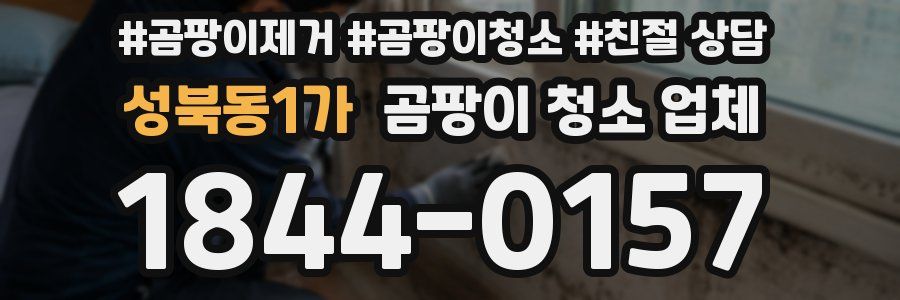 성북동1가 곰팡이 청소 업체