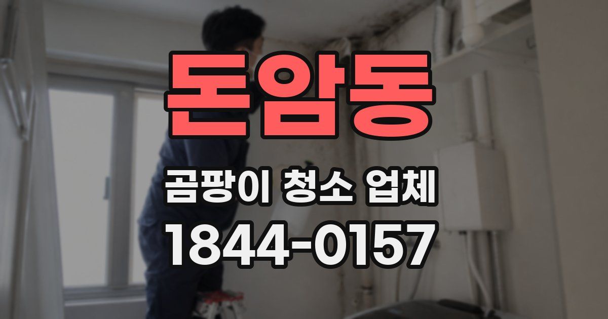 돈암동 곰팡이 청소 업체
