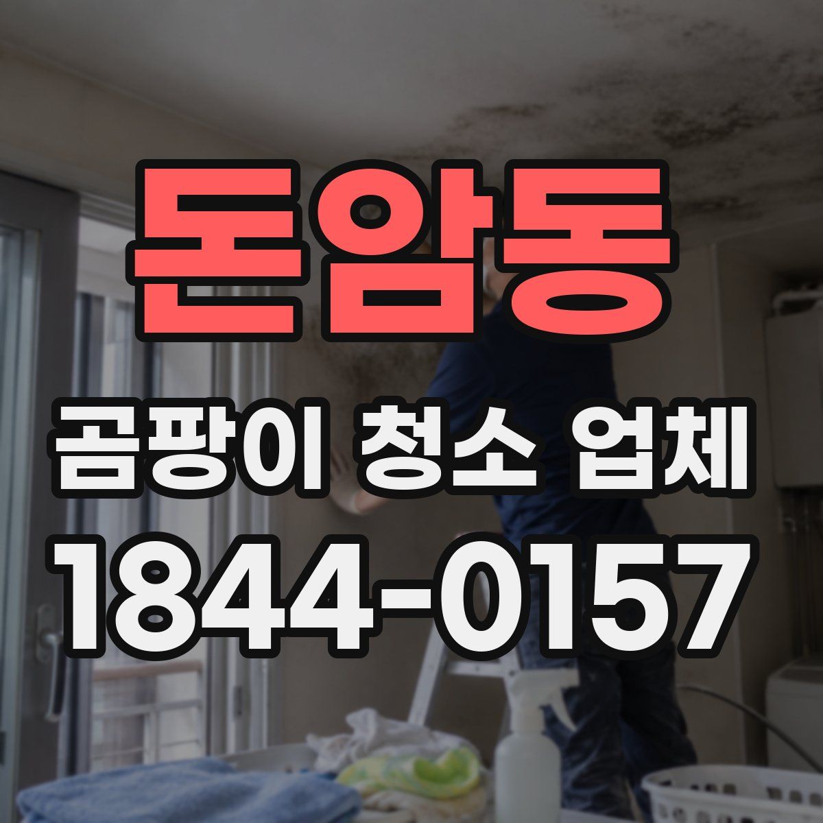 돈암동 곰팡이 청소 업체
