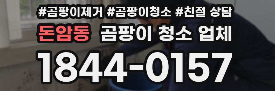 돈암동 곰팡이 청소 업체