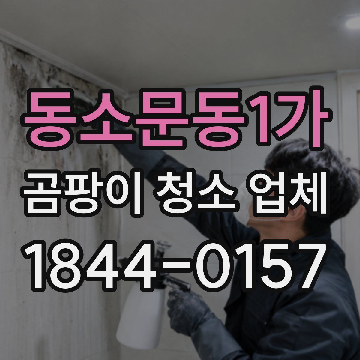 동소문동1가 곰팡이 청소 업체