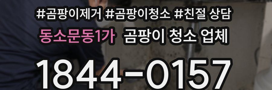 동소문동1가 곰팡이 청소 업체