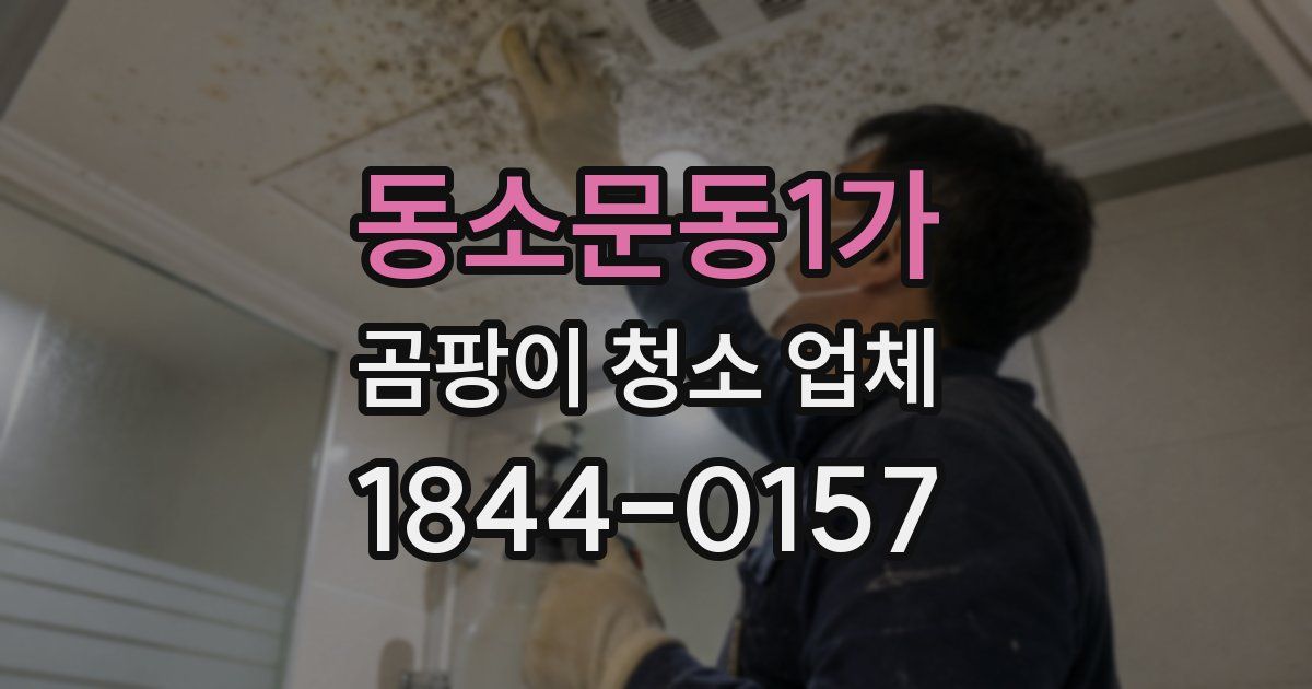 동소문동1가 곰팡이 청소 업체