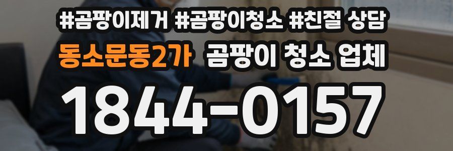 동소문동2가 곰팡이 청소 업체