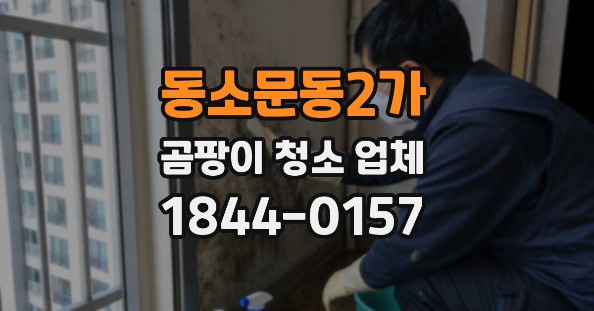 동소문동2가 곰팡이 청소 업체
