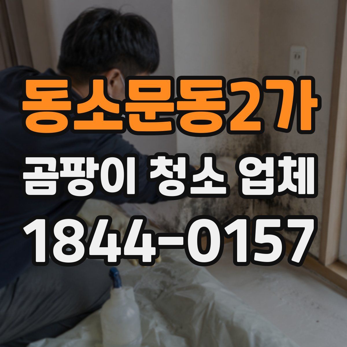 동소문동2가 곰팡이 청소 업체
