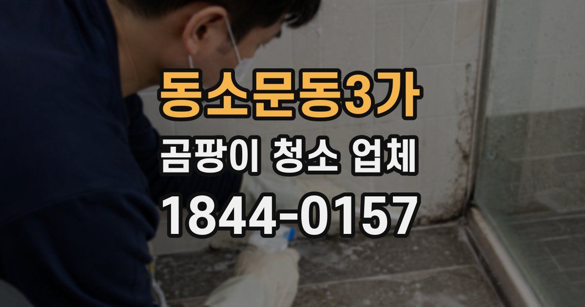 동소문동3가 곰팡이 청소 업체