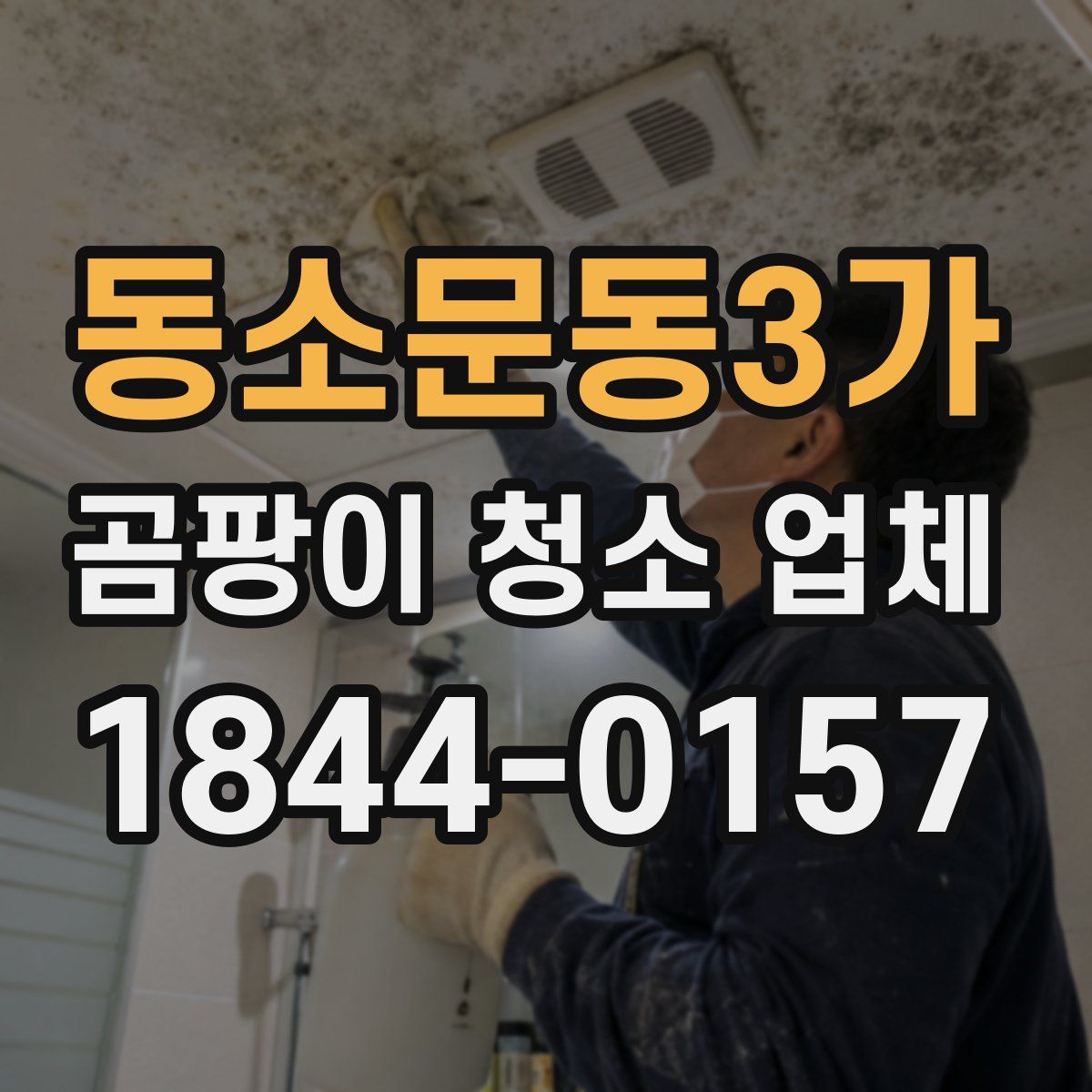 동소문동3가 곰팡이 청소 업체