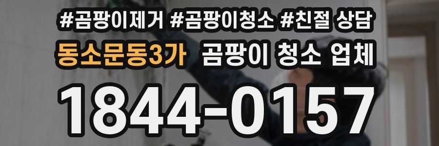 동소문동3가 곰팡이 청소 업체