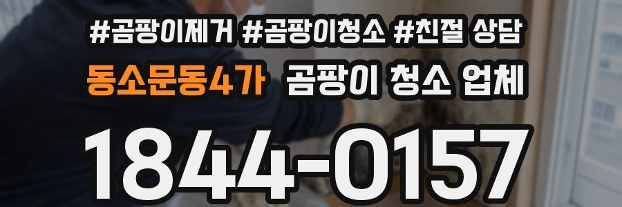 동소문동4가 곰팡이 청소 업체
