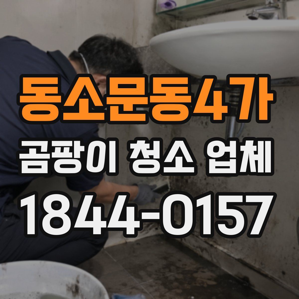 동소문동4가 곰팡이 청소 업체