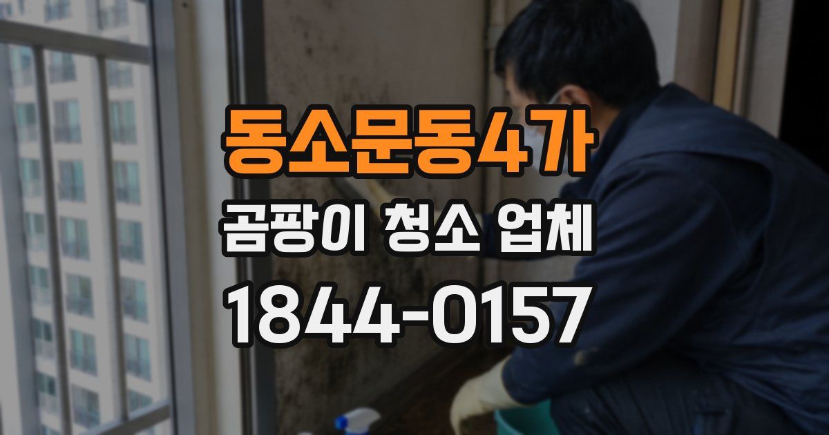 동소문동4가 곰팡이 청소 업체