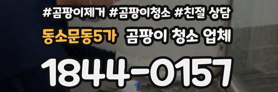 동소문동5가 곰팡이 청소 업체