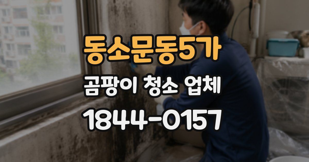 동소문동5가 곰팡이 청소 업체