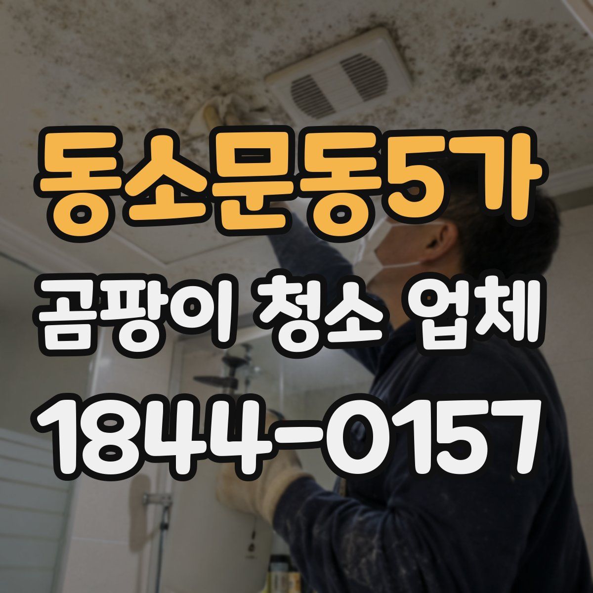 동소문동5가 곰팡이 청소 업체