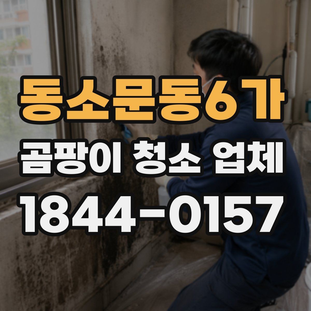 동소문동6가 곰팡이 청소 업체 작업 대상이 되는 공간 정리