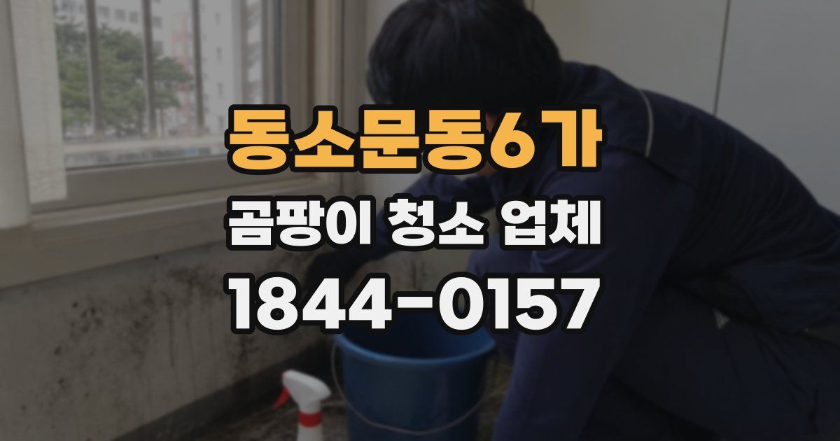 동소문동6가 곰팡이 청소 업체