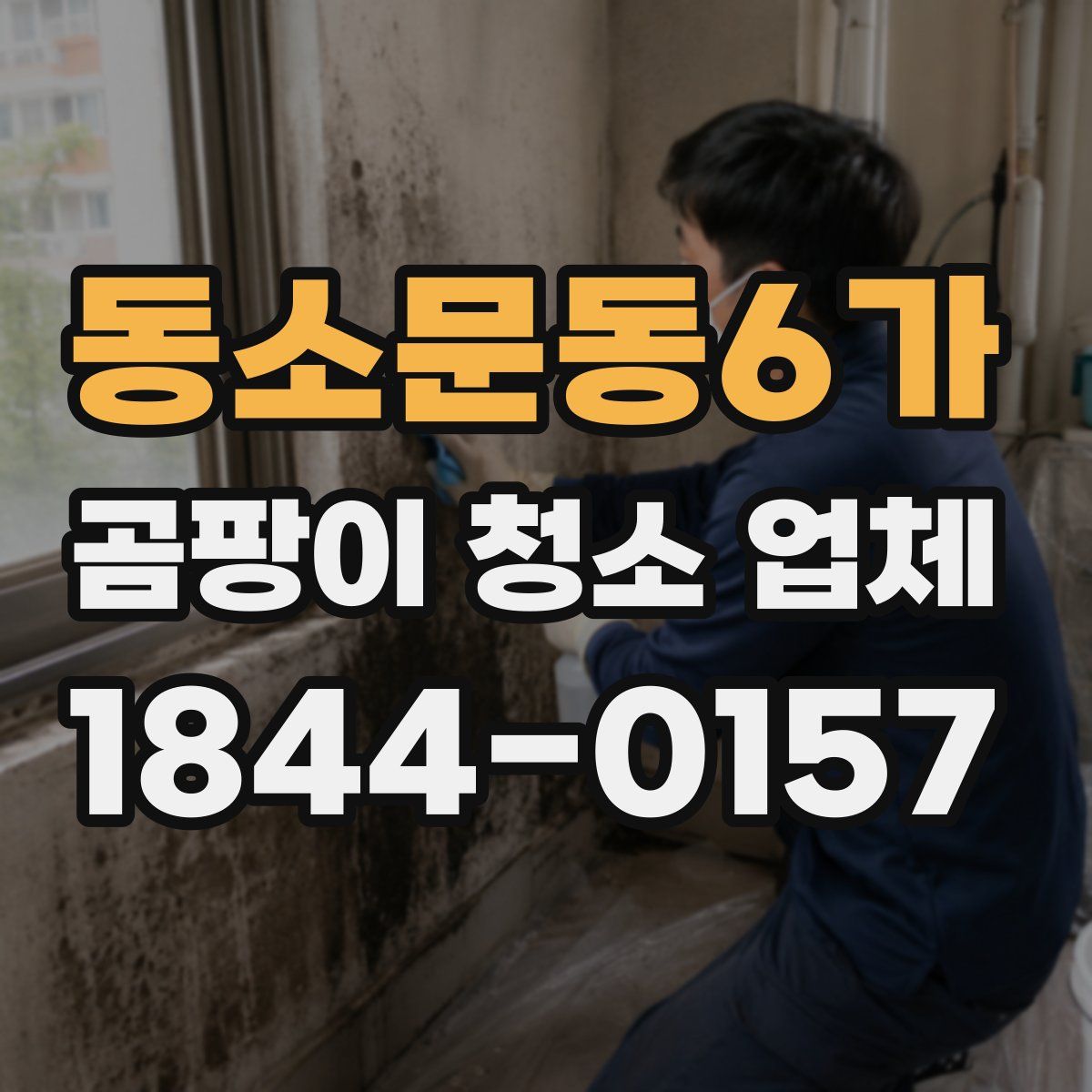 동소문동6가 곰팡이 청소 업체
