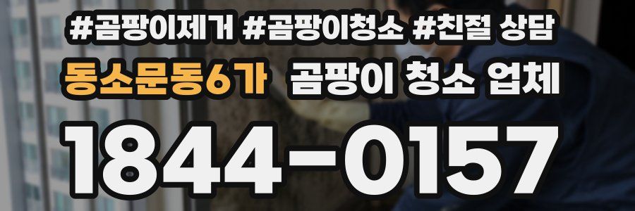 동소문동6가 곰팡이 청소 업체