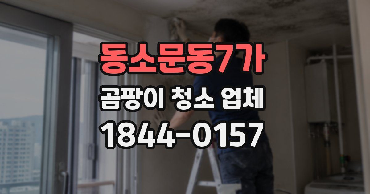 동소문동7가 곰팡이 청소 업체