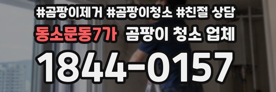 동소문동7가 곰팡이 청소 업체
