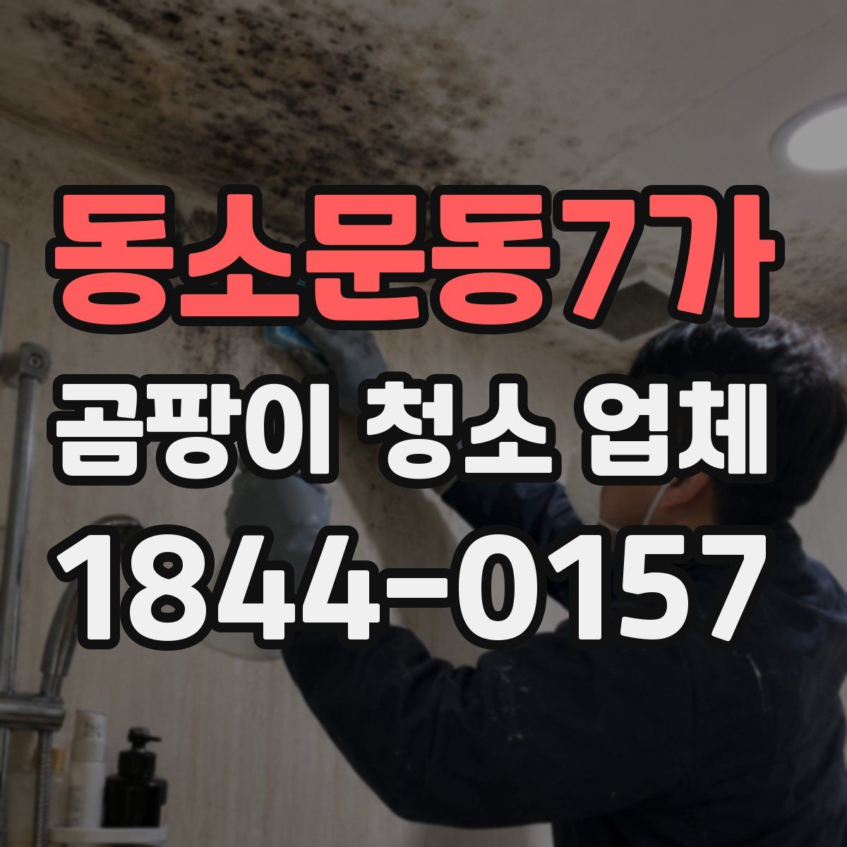 동소문동7가 곰팡이 청소 업체