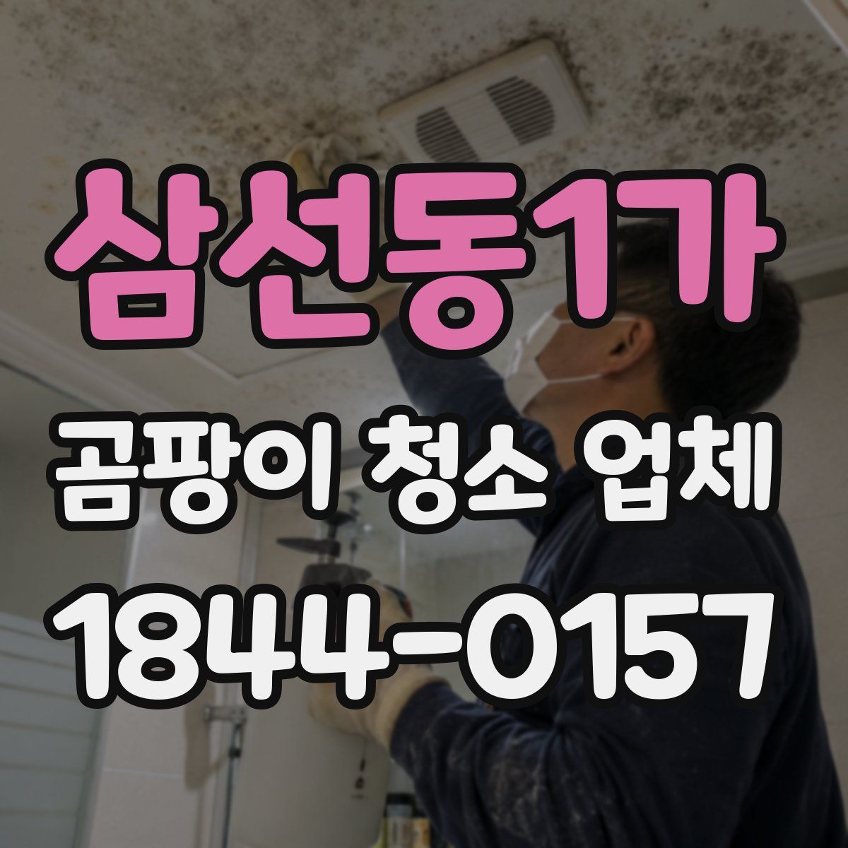 삼선동1가 곰팡이 청소 업체