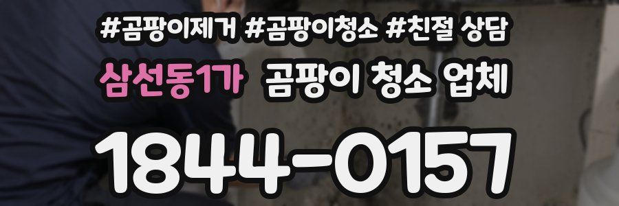 삼선동1가 곰팡이 청소 업체