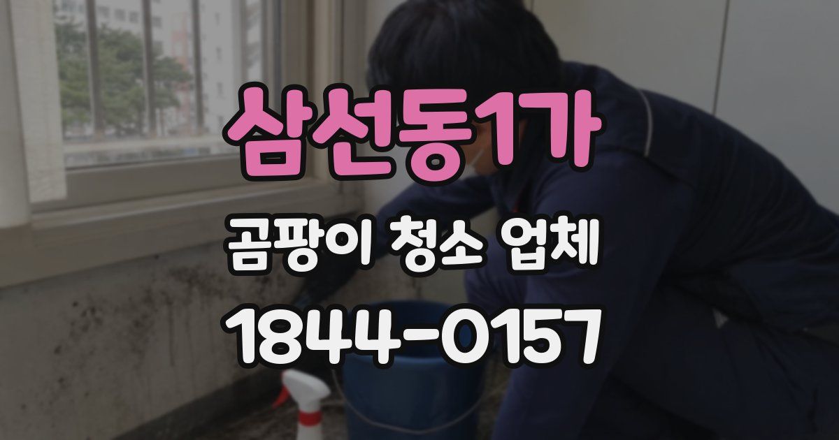 삼선동1가 곰팡이 청소 업체