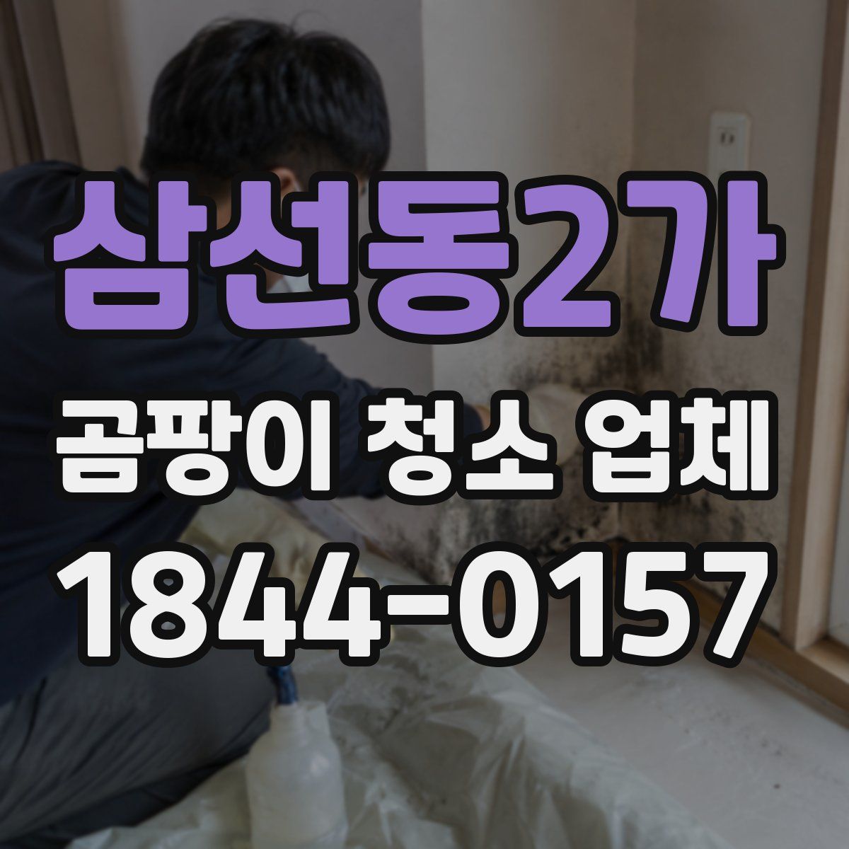 삼선동2가 곰팡이 청소 업체