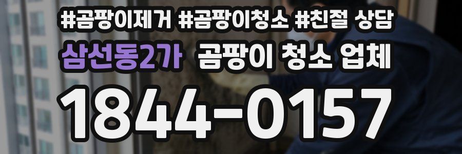 삼선동2가 곰팡이 청소 업체