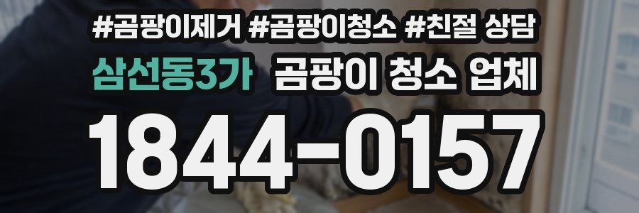 삼선동3가 곰팡이 청소 업체