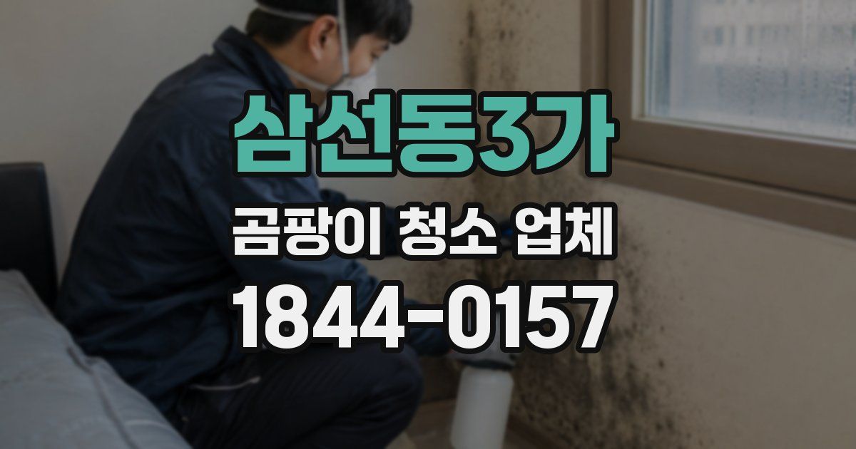 삼선동3가 곰팡이 청소 업체
