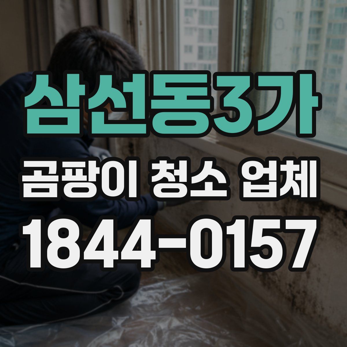 삼선동3가 곰팡이 청소 업체