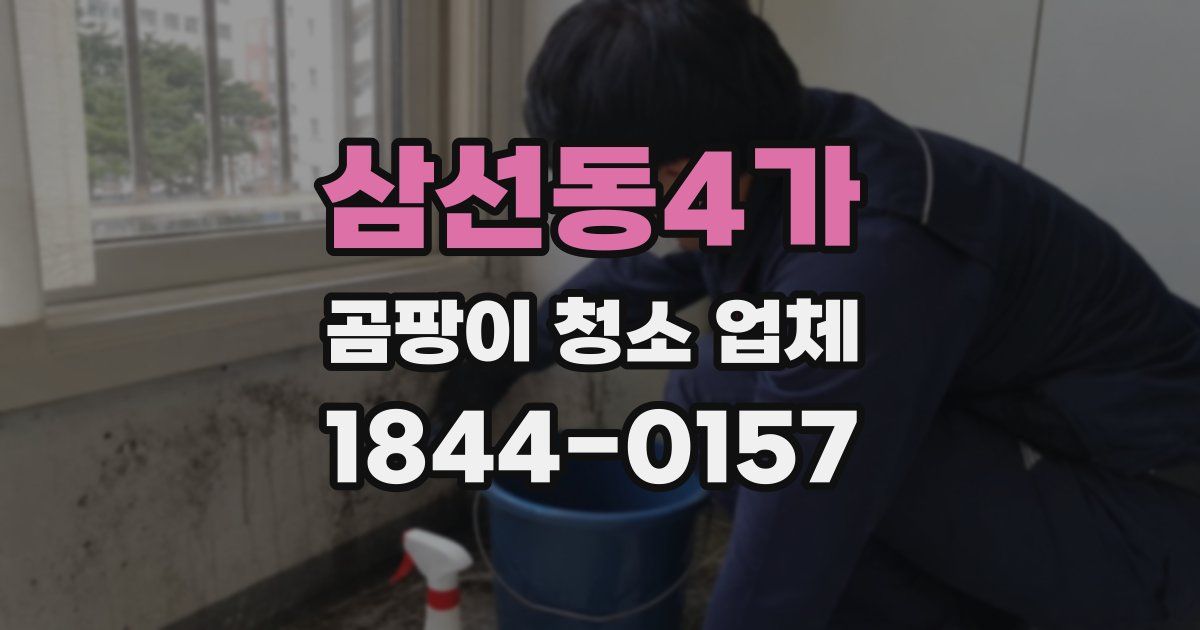 삼선동4가 곰팡이 청소 업체