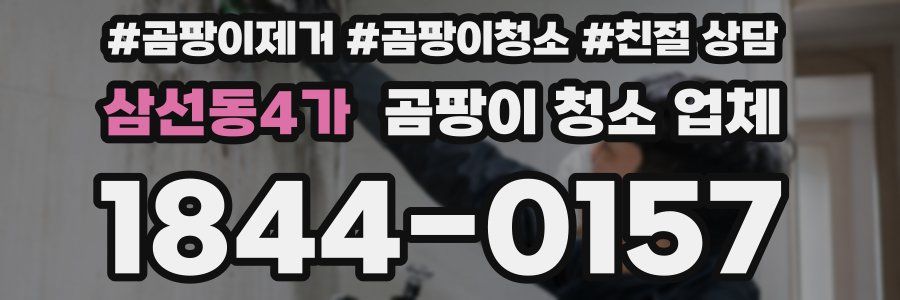 삼선동4가 곰팡이 청소 업체