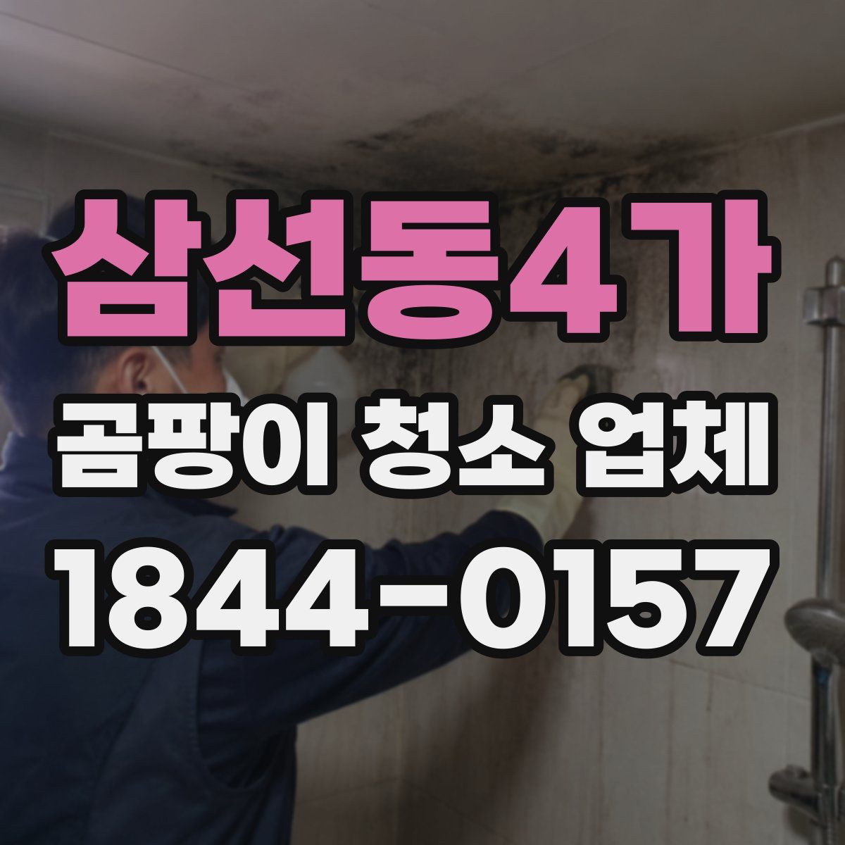 삼선동4가 곰팡이 청소 업체