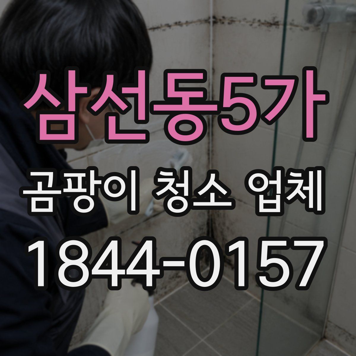 삼선동5가 곰팡이 청소 업체