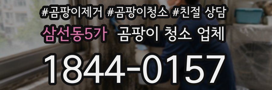 삼선동5가 곰팡이 청소 업체