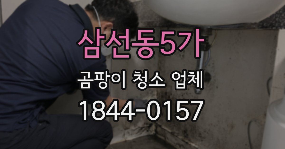 삼선동5가 곰팡이 청소 업체