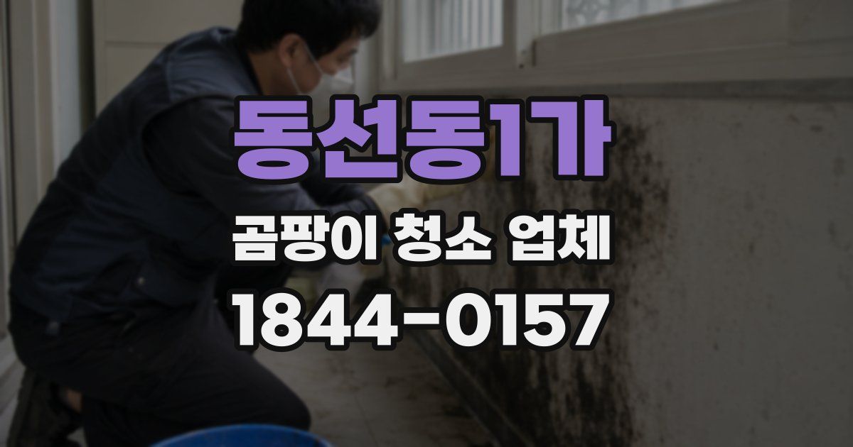 동선동1가 곰팡이 청소 업체