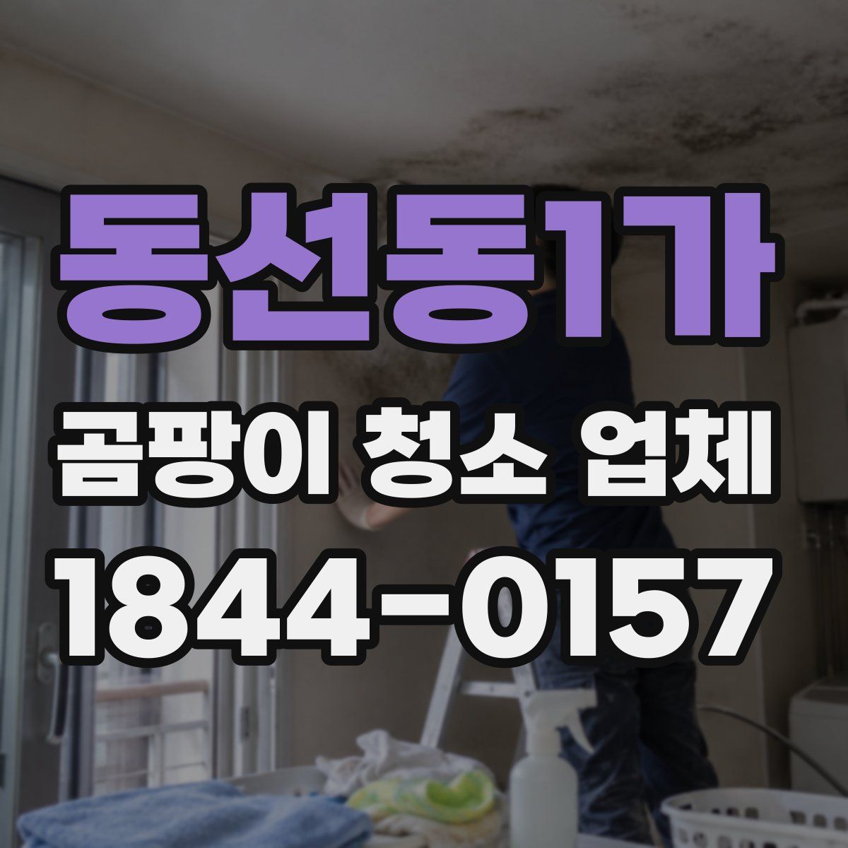 동선동1가 곰팡이 청소 업체