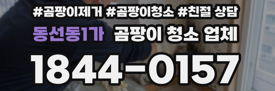 동선동1가 곰팡이 청소 업체