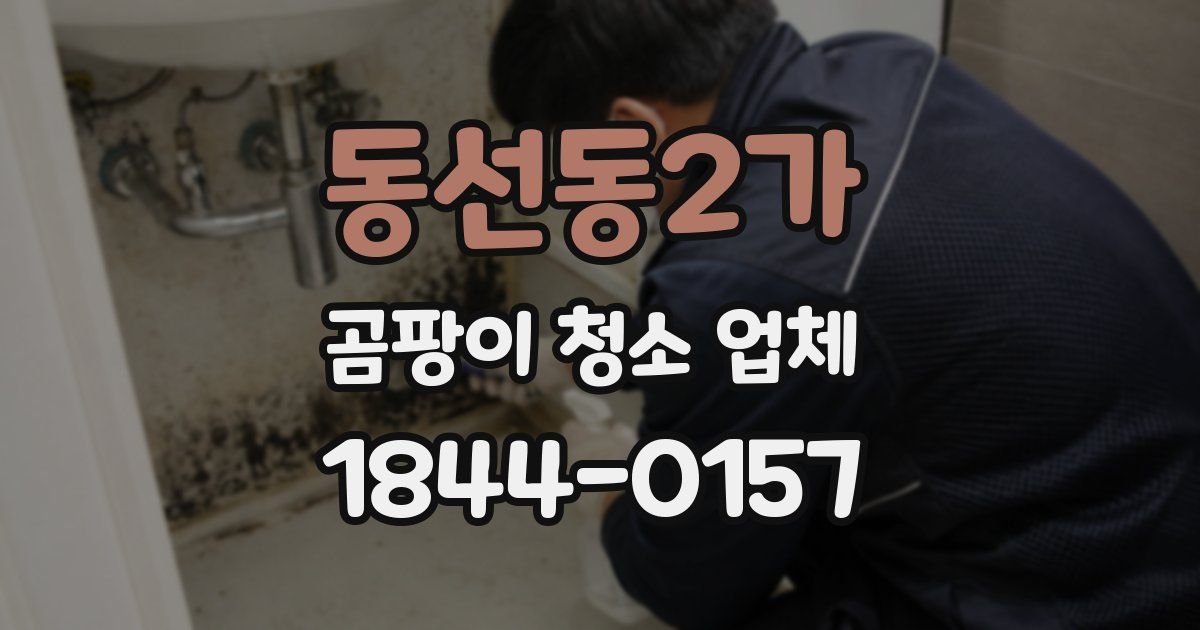 동선동2가 곰팡이 청소 업체