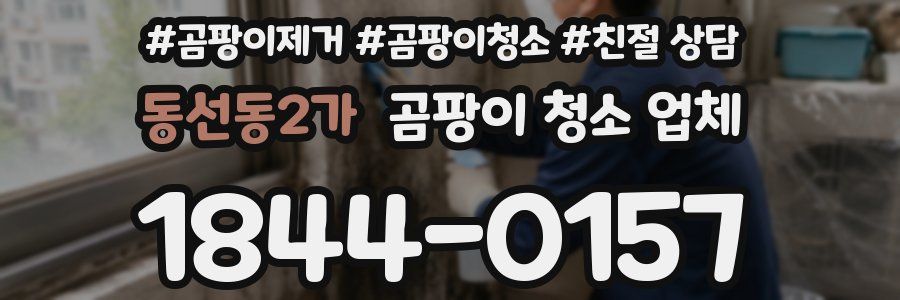 동선동2가 곰팡이 청소 업체