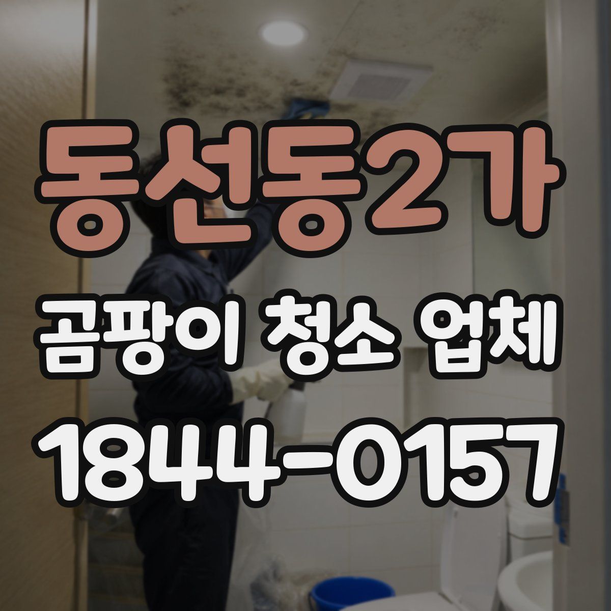 동선동2가 곰팡이 청소 업체